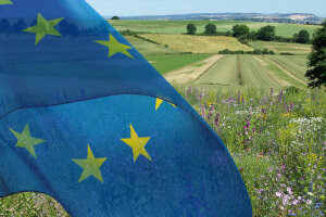 Europa-Flagge und im Hintergrund Blühwiese und Felder