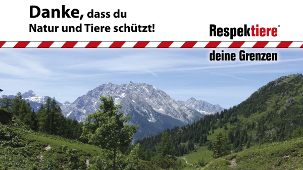 Wanderweg in sommerlicher Berglandschaft