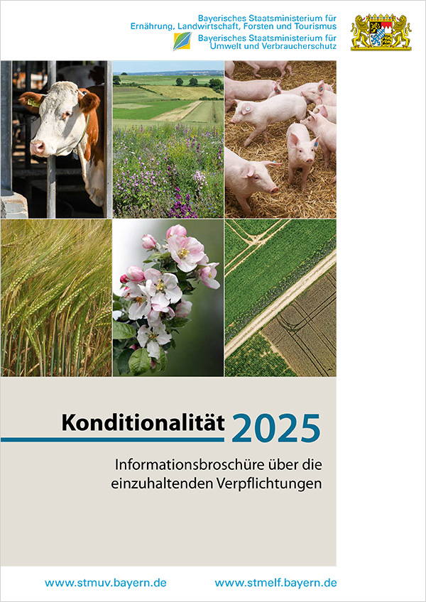 Titelseite Informationsbroschüre Konditionalität 2025