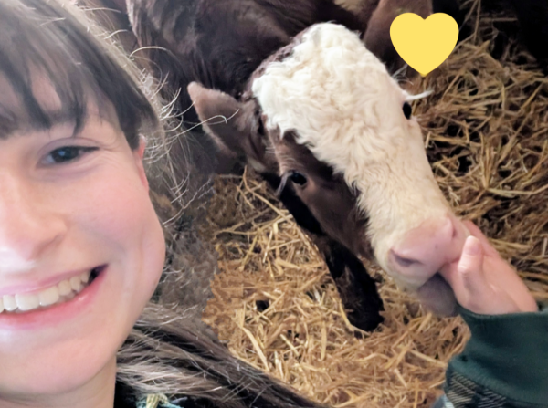 Botschafterin Magdalena im Stall mit einem Kälbchen