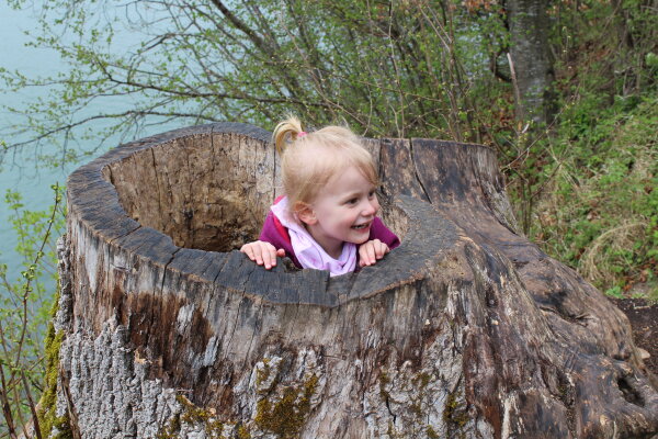 Kind spielt im hohlen Baumstumpf.