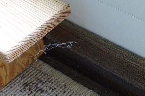Spinnwebe zwischen Holzbank und Fußboden