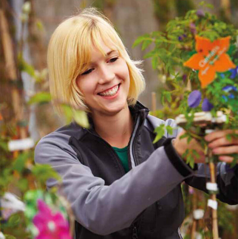 lächelnde Frau arbeitet an einer Zierpflanze