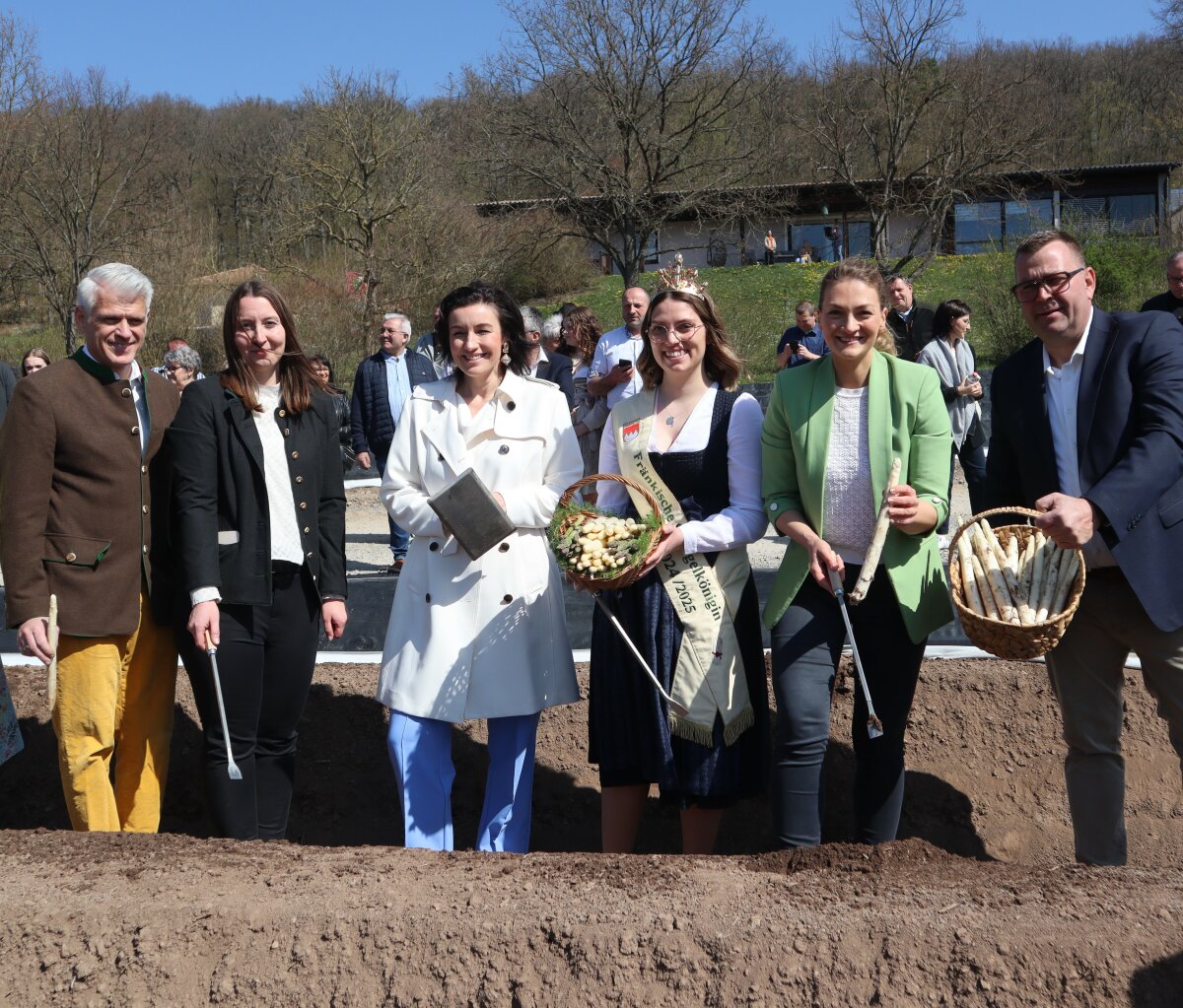 Das Bild zeigt sechs Personen, darunter Gesundheitsministerin Judith Gerlach, bei der Eröffnung der Spargelsaison stehend in einem Spargelfeld in Unterfranken.