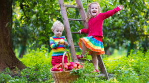 2 Kinder stehen hinter Apfelkorb an einer Holzleiter auf einer Streuobstwiese