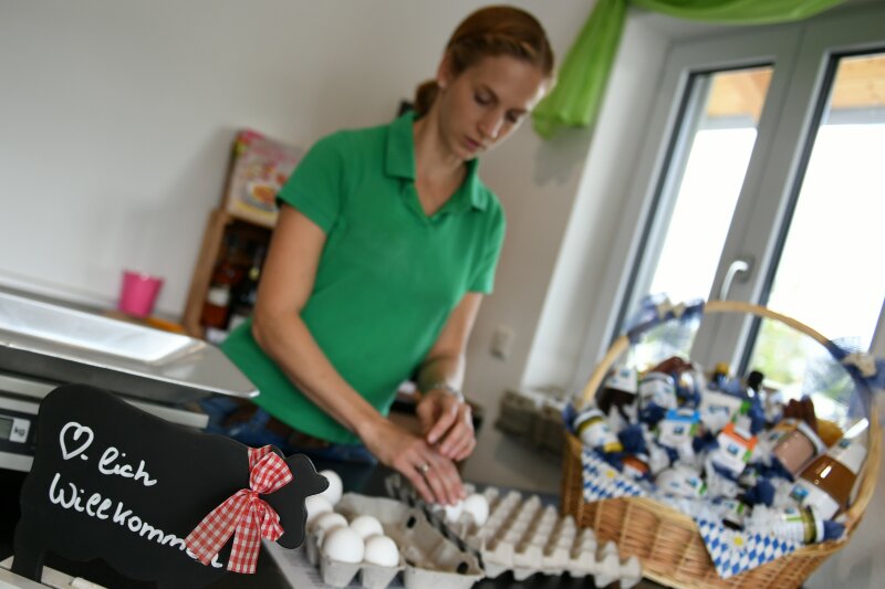 Junge Frau packt einen Geschenkkorb mit frischen regionalen Lebensmitteln