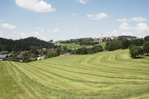 Frisch gemähte Wiese mit Dorf im Hintergrund und Bäumen