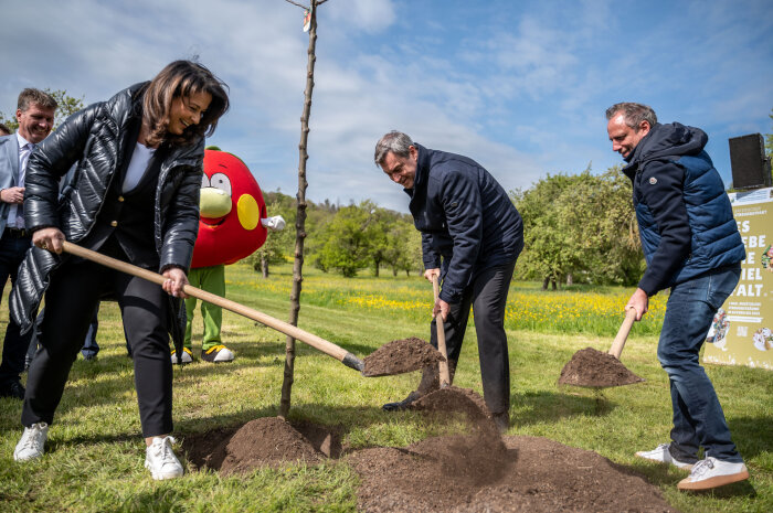 Landwirtschaftsministerin Michaela Kaniber, Ministerpräsident Dr. Markus Söder und Umweltminister Thorsten Glauber pflanzen zum Tag der Streuobstwiese einen Apfelbaum.