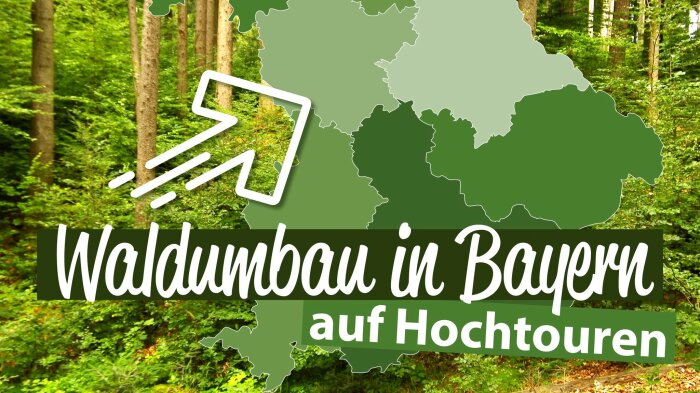 Wald, davor eine schematische Karte von Bayern mit der Aufschrift Waldumbau in Bayern auf Hochtouren