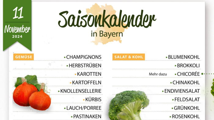 Schaubild für den Saisonkalender November mit Gemüsesorten, Salaten und Kohl als Text aufgelistet