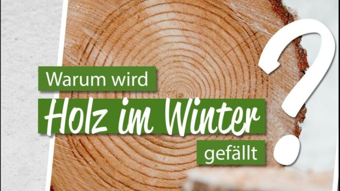 Holzscheibe. Dazu der Schriftzug: Warum wird Holz im Winter gefällt?