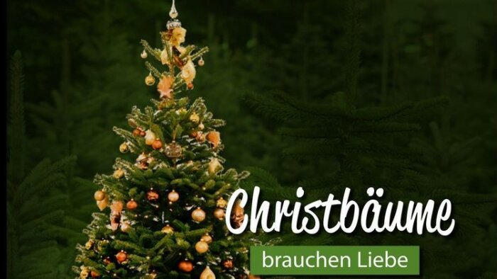 Geschmückter Christbaum. Daneben die Aufschrift Christbäume brauchen Liebe