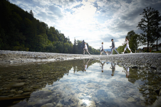 Mehrere Personen beim Nordic Walking  auf Kies im Waldgebiet.