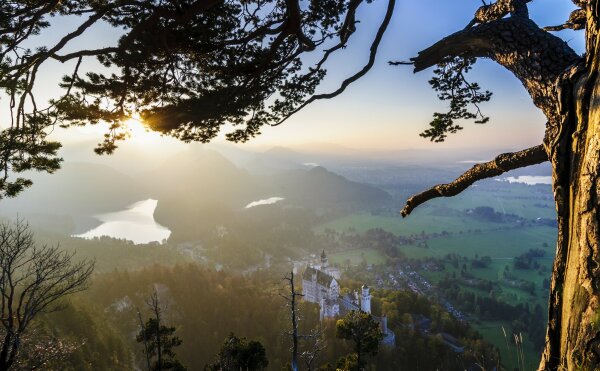 Blick von weit oben zwischen Bäumen auf das Schloss Neuschwanstein mit Seen im Hintergrund.