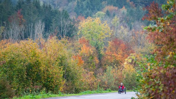 Rollstuhlfahrer auf einer Straße, die durch einen Wald führt.